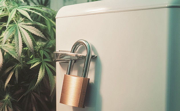 Стресс и переедание: как марихуана помогает контролировать вес Психогенное переедание и роль каннабиса в его предотвращении