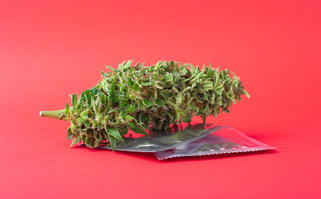 Каннабис и секс: мифы и реальность Использование марихуаны для повышения либидо