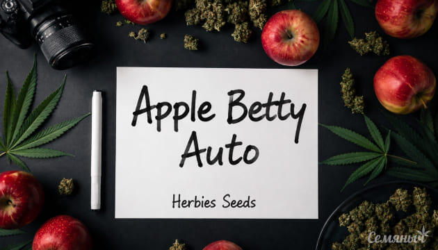 Гроурепорт сорта Apple Betty Auto от Herbies Seeds