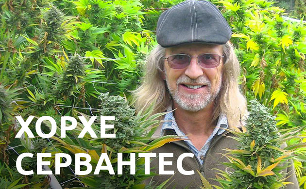 История Хорхе Сервантеса Фото Хорхе Сервантеса