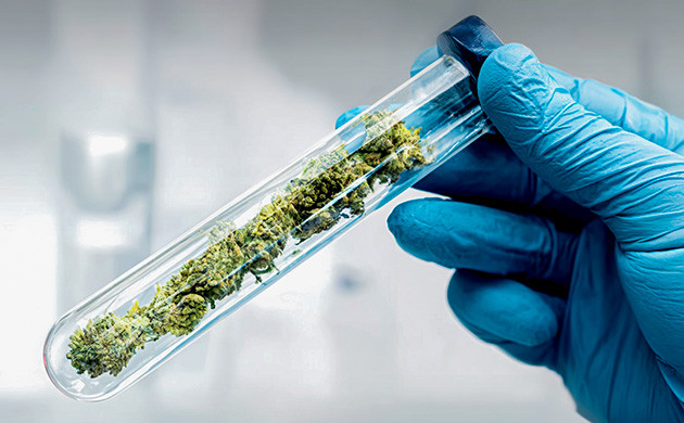 КБС и его анальгезирующие и противовоспалительные свойства