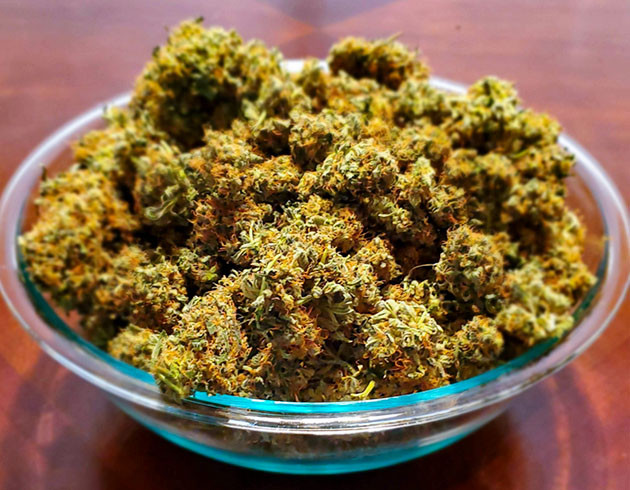 Сухой урожай Сухие шишки в прозрачной тарелке