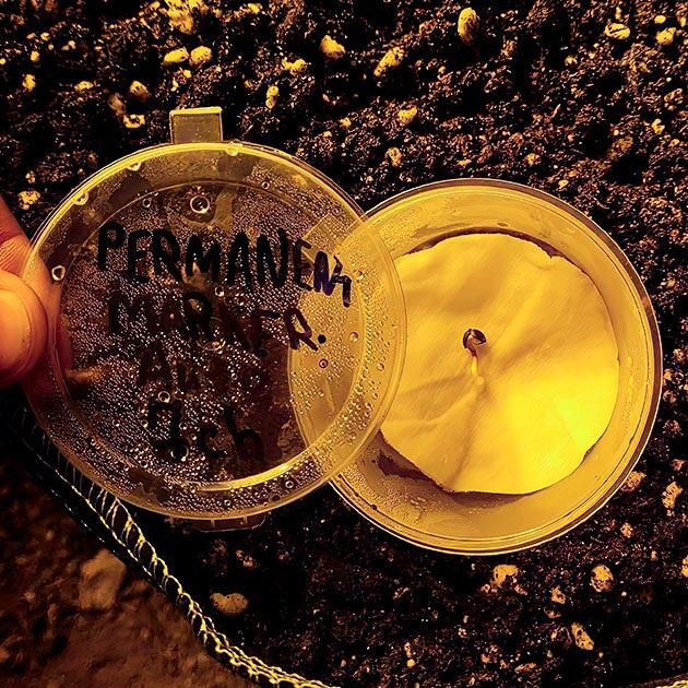 Проращивание семени Проращивание Permanent Marker Auto
