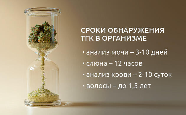 Скорость выведения ТГК из организма Сроки обнаружения ТГК в организме
