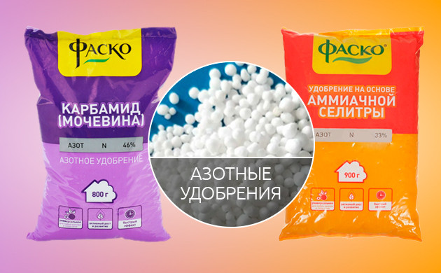 Азотные удобрения Аммиачная селитра и карбамид