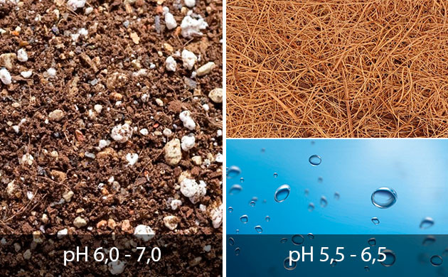 Устранение дефицита калия у конопли