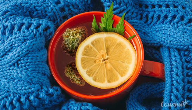 Чай с лимоном и коноплей