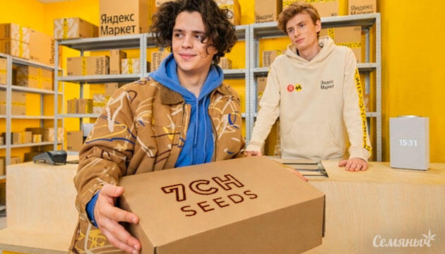 Заказ Яндекс Маркет