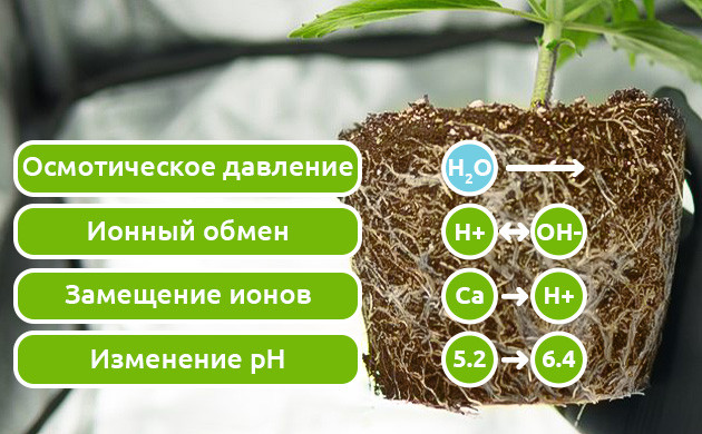 Замещение ионов и изменение pH раствора