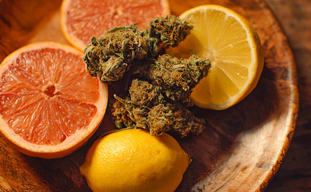 Цитрусовый терпен каннабиса с тонизирующим и антисептическим действием Цитрусовый терпен лимонен