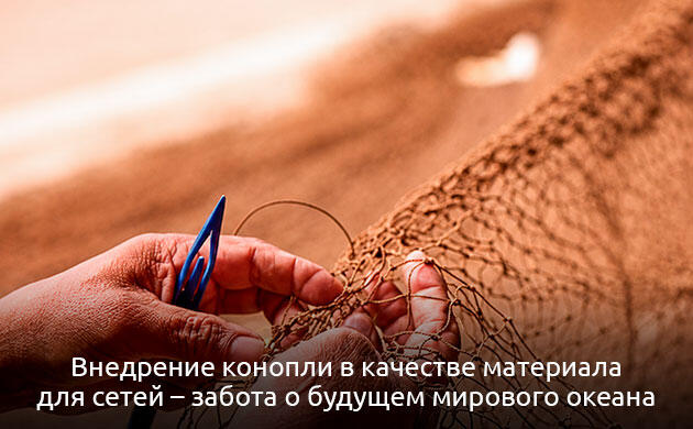 Конопляные рыболовные снасти: биоразлагаемая альтернатива пластику Конопля и будущее океана