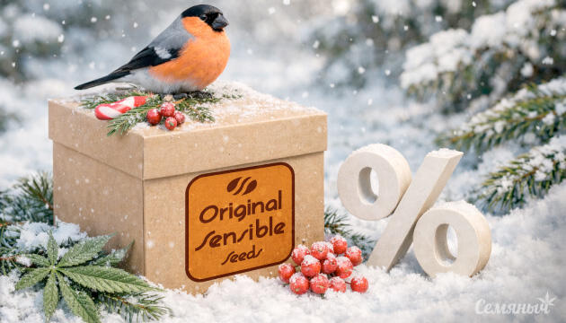 Скидка 30% на все семена сидбанка Original Sensible Seeds