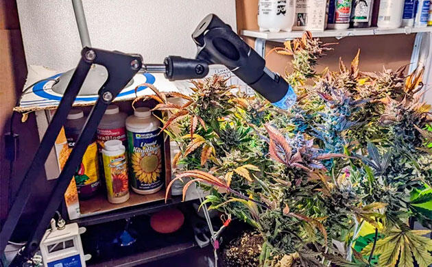 Анализ трихом через цифровую лупу