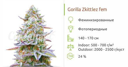 Gorilla Zkittlez от Barney's Farm