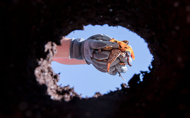 Подготовка почвы и дренаж для выращивания конопли