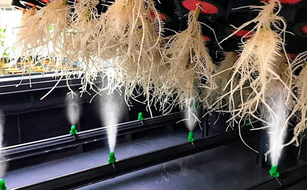 Новшества в технологиях аэропоники