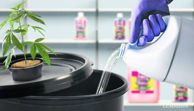 Как приготовить питательный раствор для гидропоники Раствор для гидропонной системы