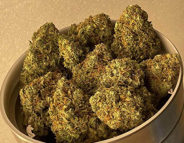 Собранный урожай Сухие соцветия Mimosa Cake Auto