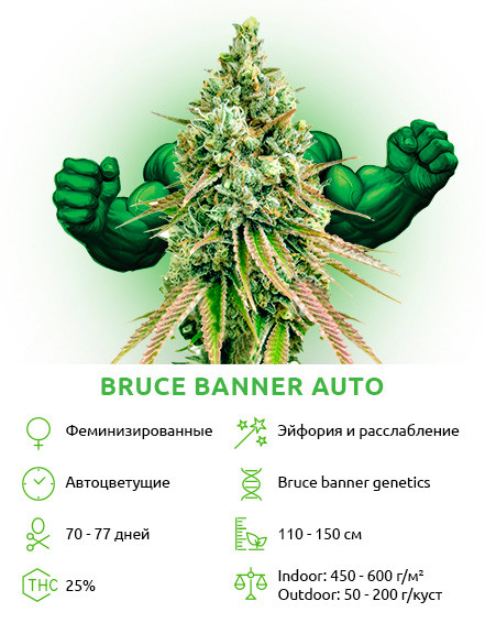 Bruce Banner Auto от Семяныча
