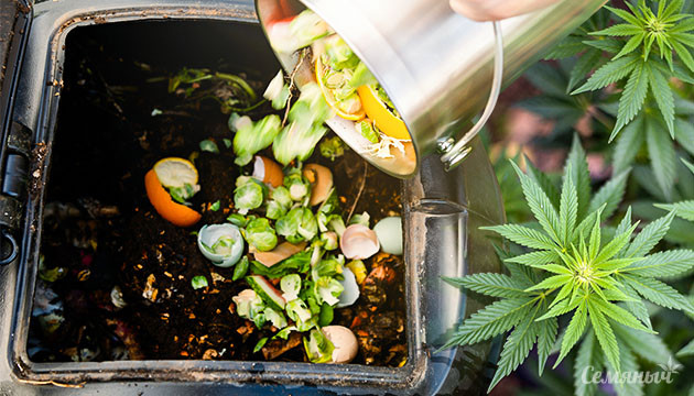 Домашний компост для конопли