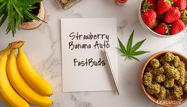 Гроурепорт сорта Strawberry Banana Auto от FastBuds