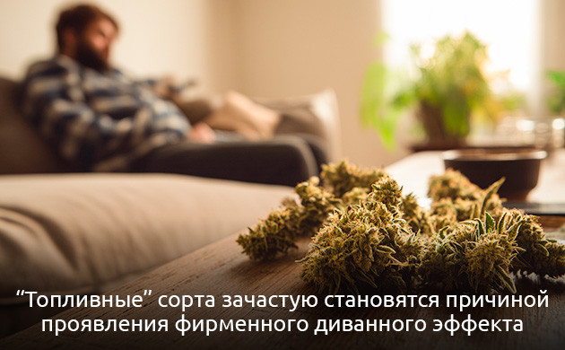 Группа ароматов, характеризующиеся как тяжелые, интенсивные и глубокие Категория «Топливо»