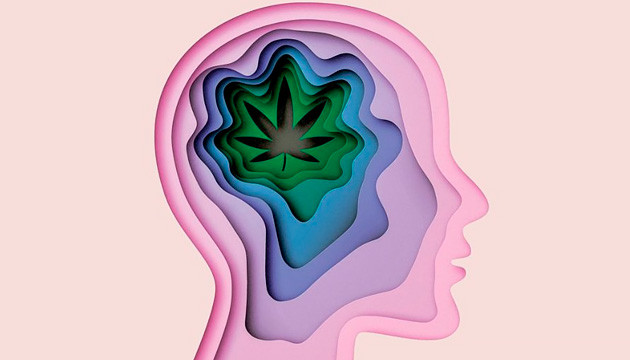 Влияние конопли на мозг