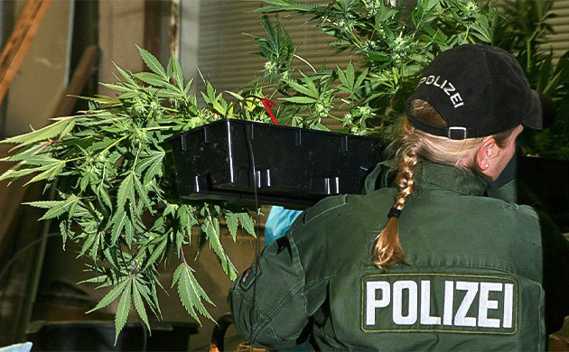 Полиция поддерживает легализацию