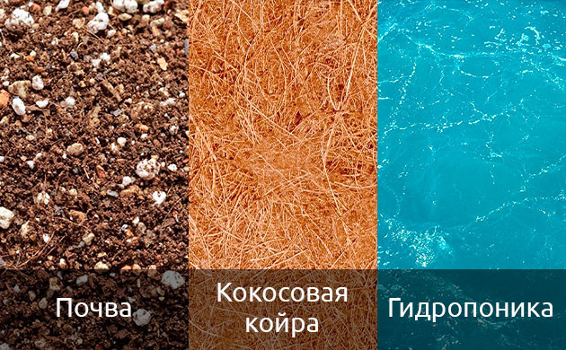 Среда для выращивания автоцветов