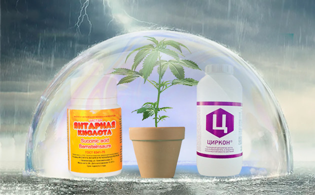 Противостояние внешним факторам стимуляторами