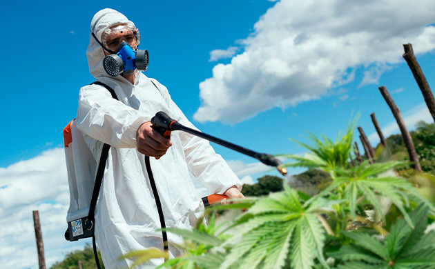 Для чего используются пестициды