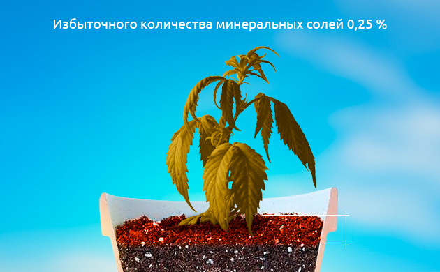 Избыточное количество минеральных солей