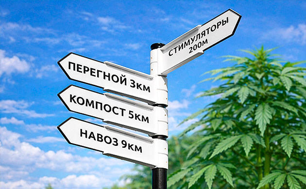 Роль стимуляторов в гровинге Органическое выращивание каннабиса без стимуляторов