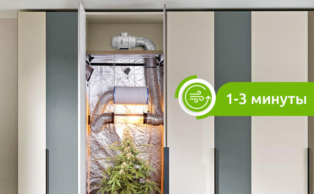 Обновление воздуха в гроубоксе 1-3 минуты