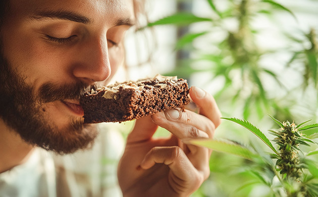 Как растительная диета улучшает самочувствие