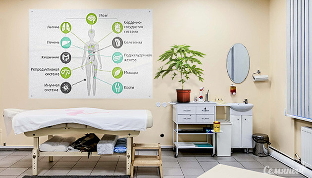 Эндоканнабиноидная система человека