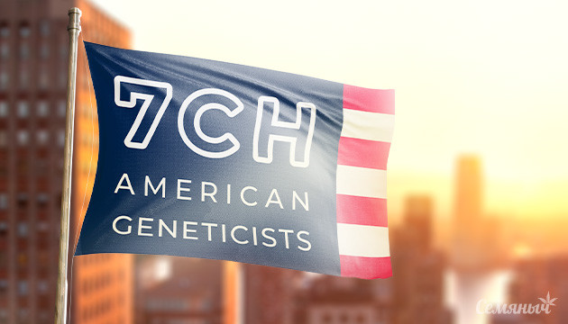 7CH American Сидбанк 7CH American