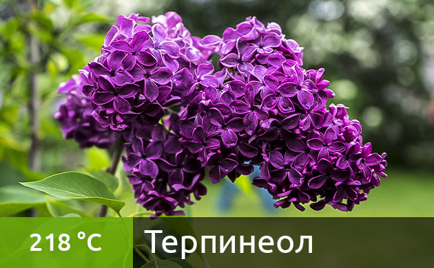 Рекомендуемая температура нагрева для терпинеола в вейпе (218 °C)