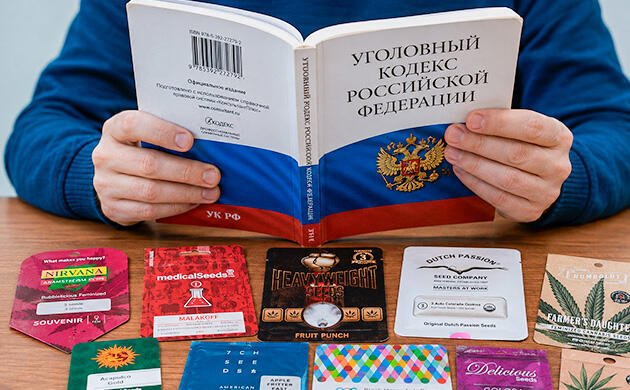 Присутствует ли термин «коллекционные семена» в законодательстве России? Как российское право трактует коллекционные семена