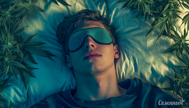 Мелатонин и каннабис