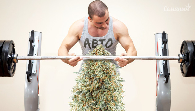 Тренировка автоцветa