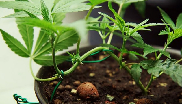 Метод LST подгиба