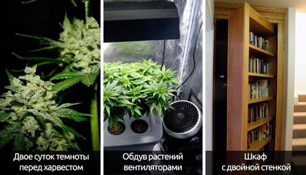 Лайфхаки от опытных гроверов Полезные советы от гроверов