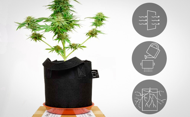 Преимущества текстильных горшков