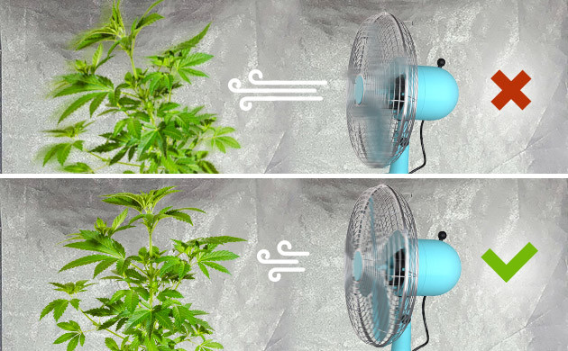 поток воздуха для конопли Равномерность потока воздуха