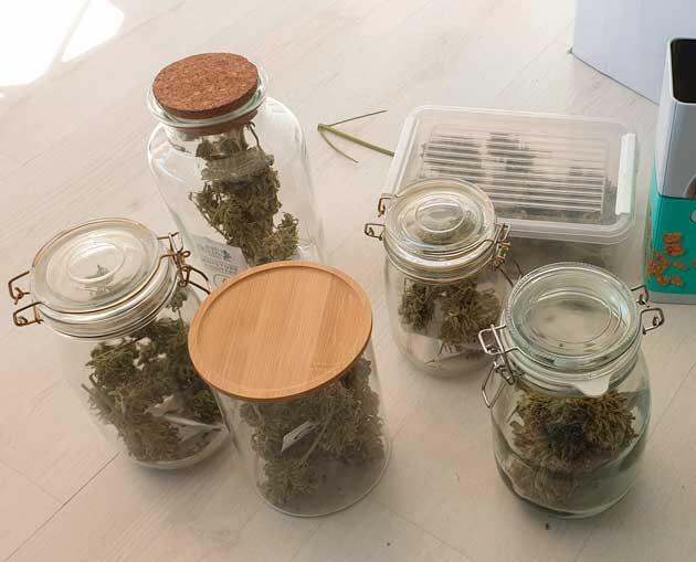 Харвест Hellfire OG Auto