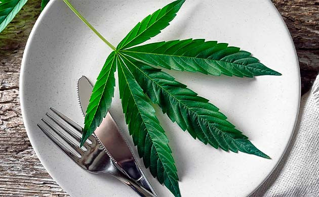 Лист каннабиса на тарелке