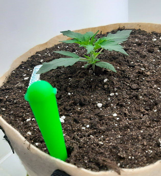 Регулировка освещения и влажности Bruce Banner Auto