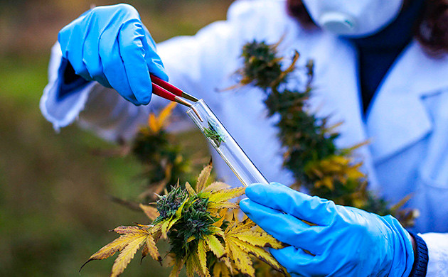 Работа в лабораториях