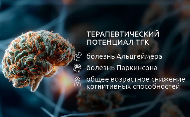 Каннабиноиды против старения мозга